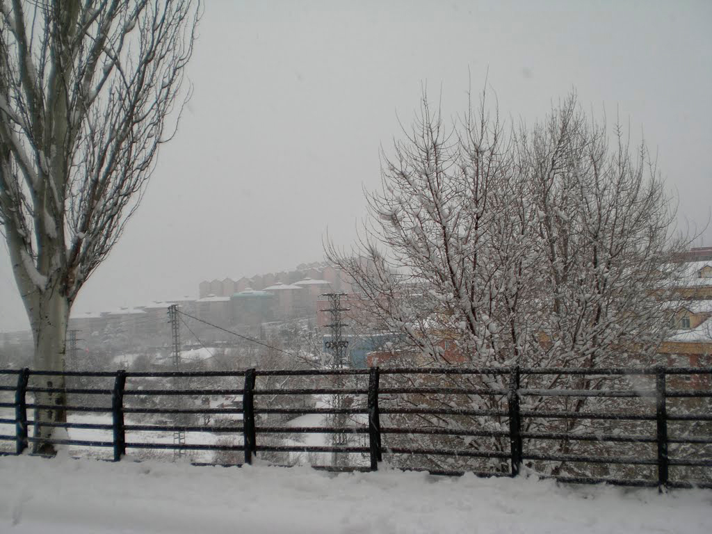 Algete nevada 2009