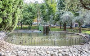 El Ayuntamiento vacía el estanque del parque de Los Olivos